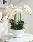 Phalaenopsis Orchid Bowl Drop-In 18.5"