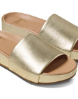 Beek Pelican