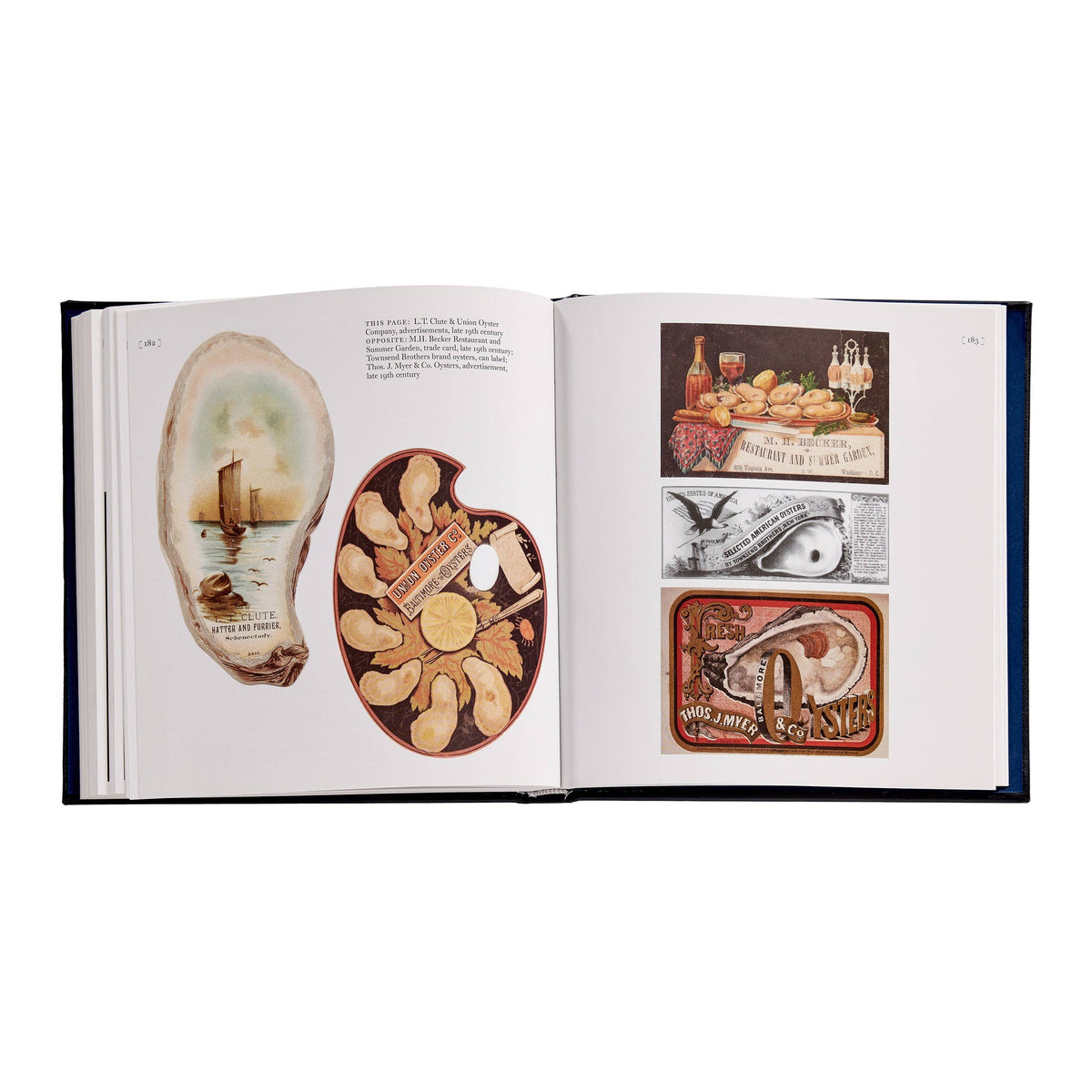 Oysters: A Celebration in the Raw Leather-Bound