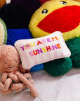 Furbish Studio You Are My Sunshine Needlepoint Pillow