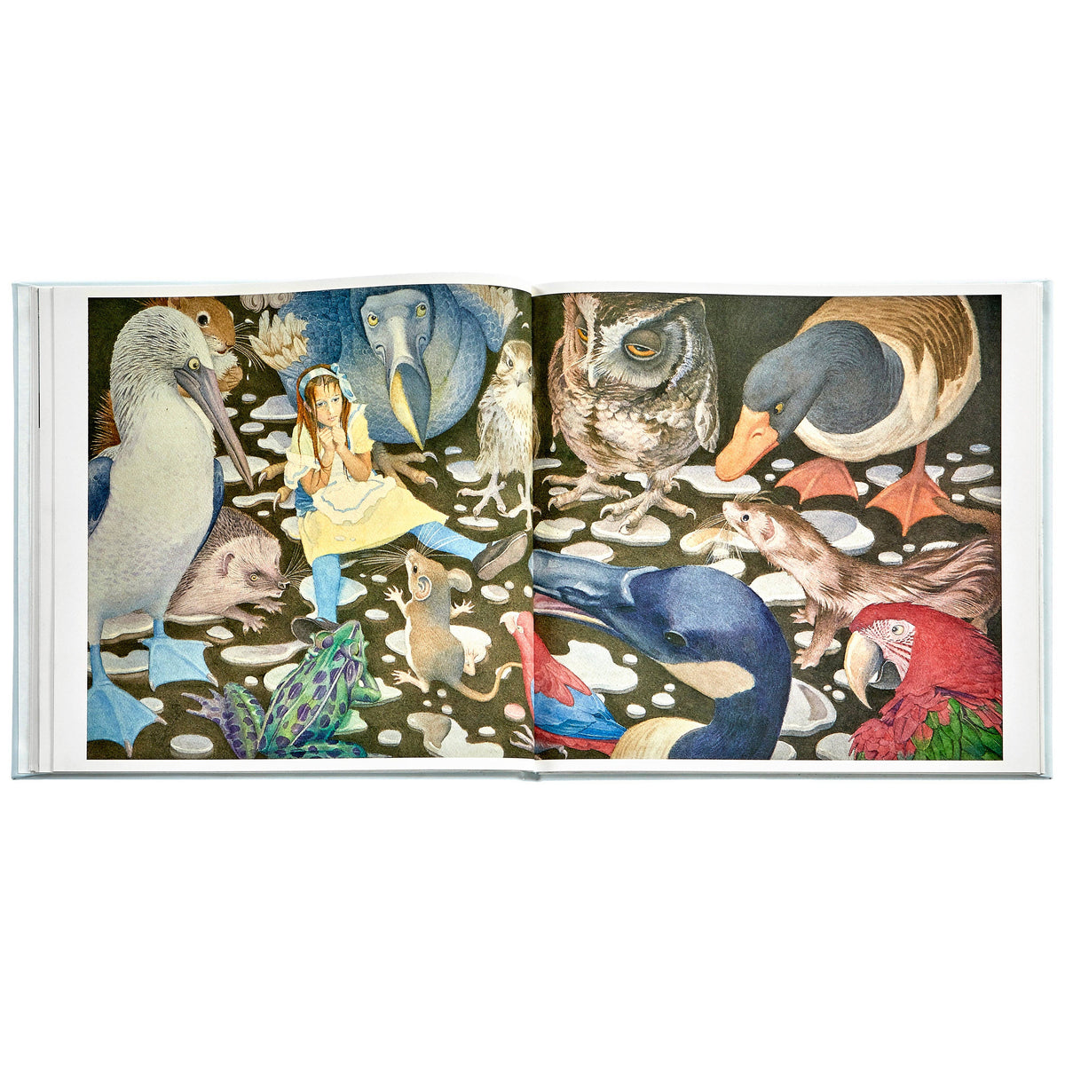 Alice's Adventures in Wonderland Leather-Bound