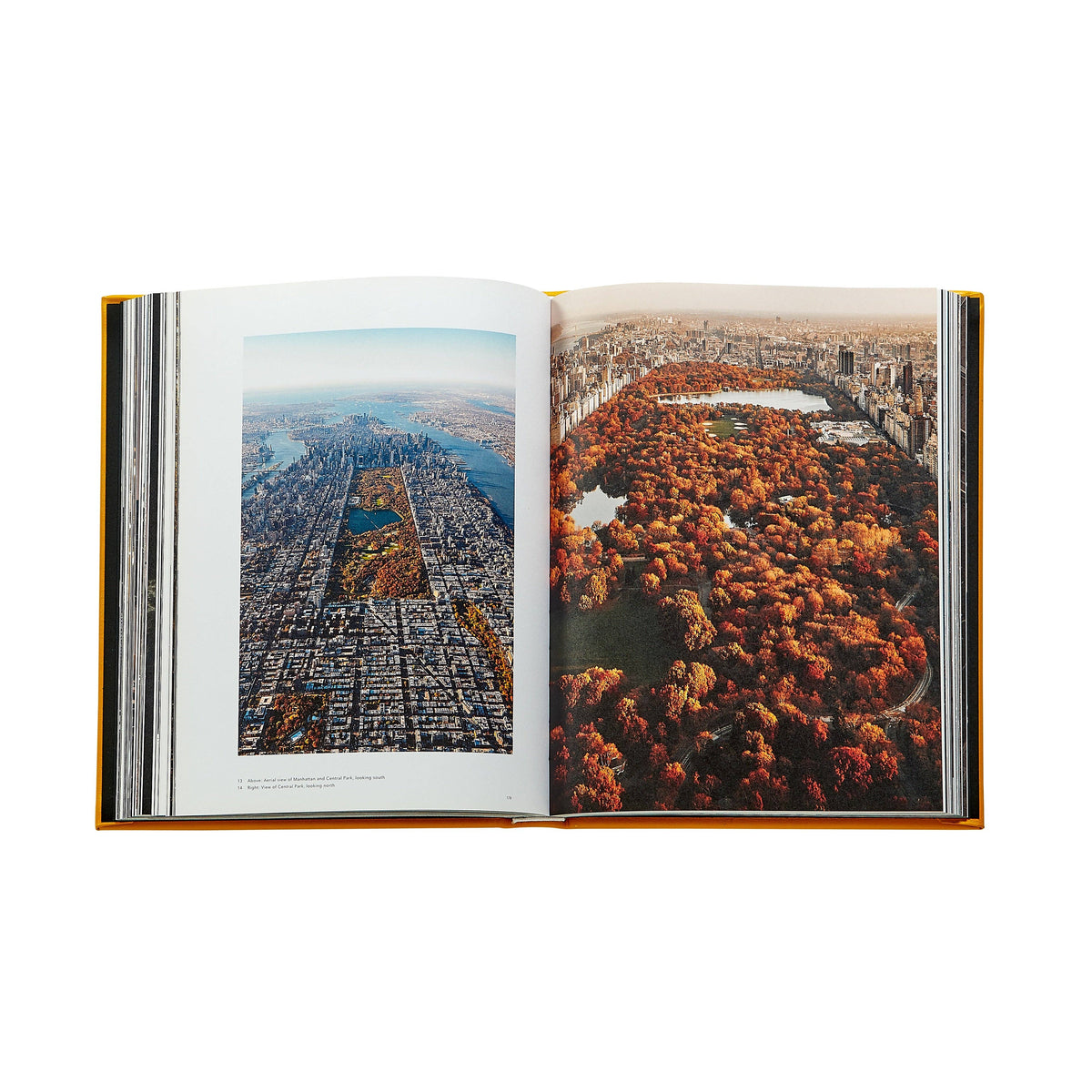Trope New York Leather-Bound
