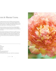 Peonies: Beautiful Varieties For Home & Garden