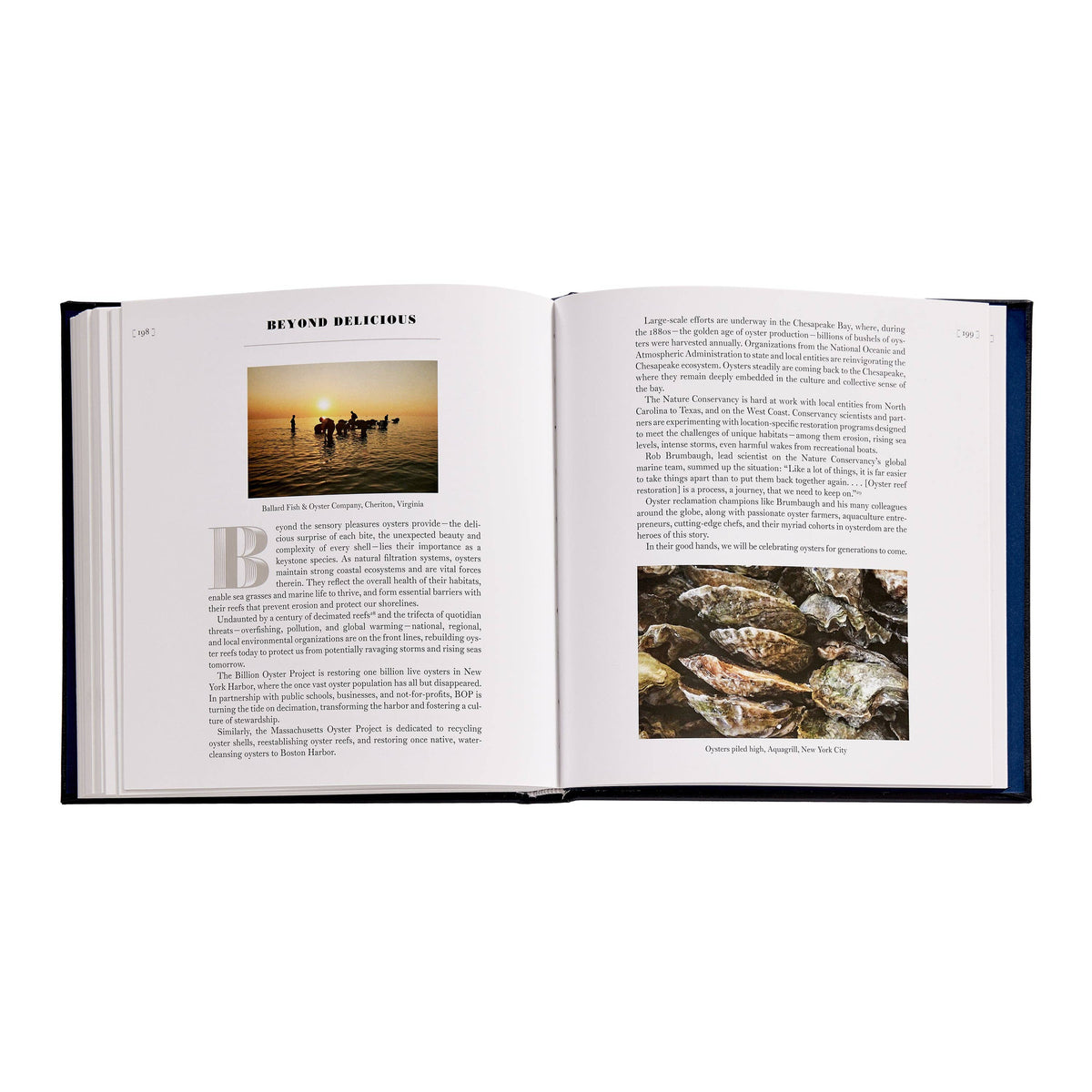 Oysters: A Celebration in the Raw Leather-Bound