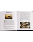 Oysters: A Celebration in the Raw Leather-Bound