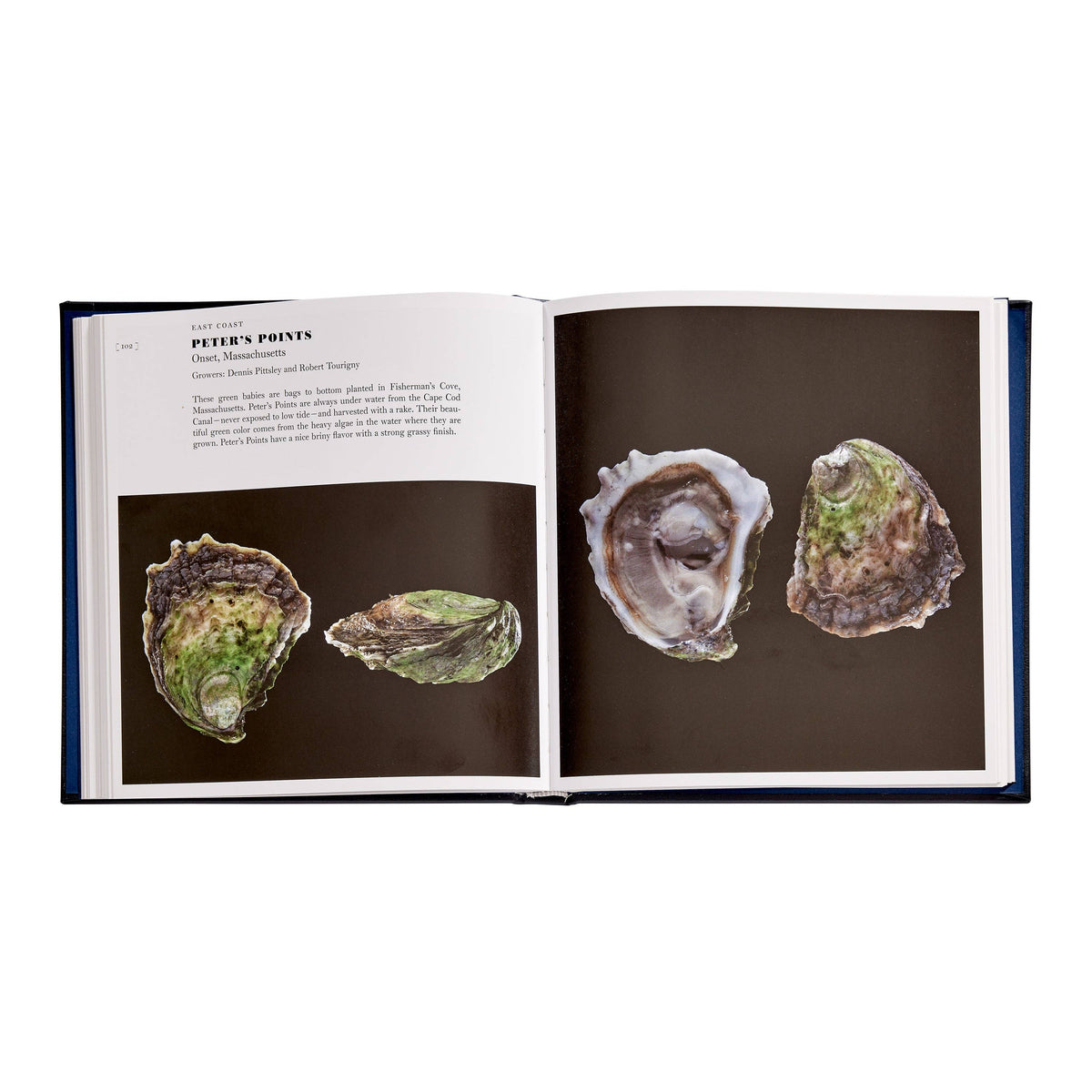 Oysters: A Celebration in the Raw Leather-Bound