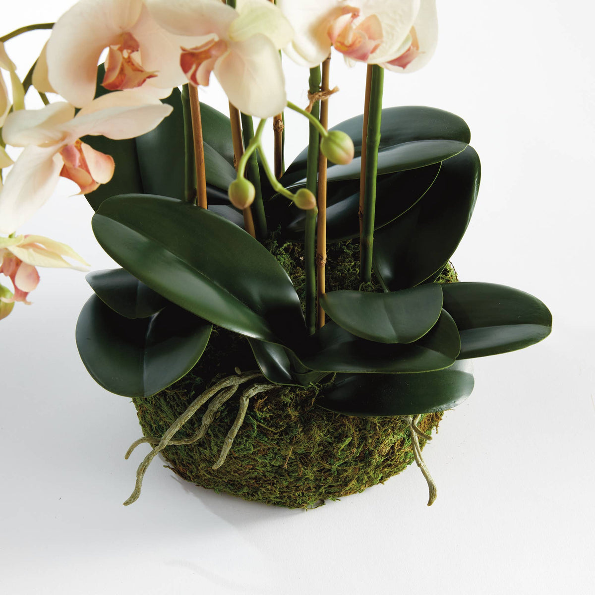 Phalaenopsis Orchid Bowl Drop-In 18.5"