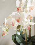Phalaenopsis Orchid Drop-In 23"