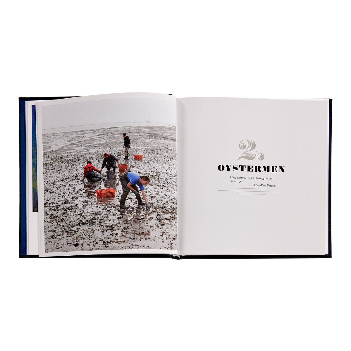Oysters: A Celebration in the Raw Leather-Bound