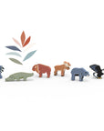 World Animals Wooden Blocks - North America