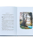 Winnie The Pooh: The Classic Edition Leather-Bound