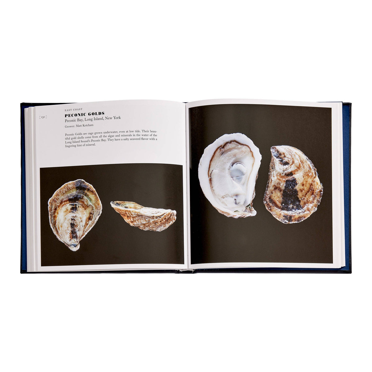 Oysters: A Celebration in the Raw Leather-Bound