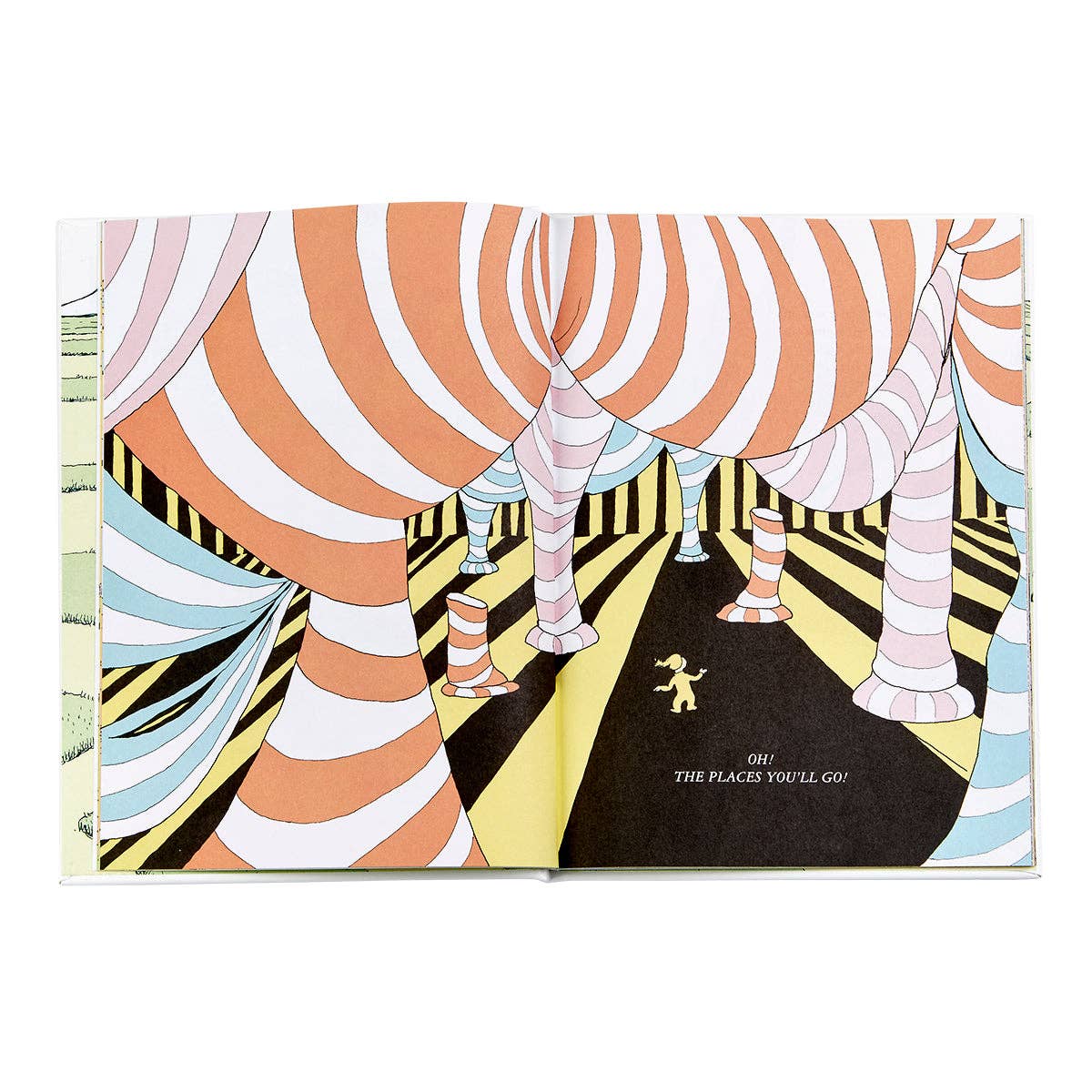 Oh The Places You'll Go! Leather-Bound